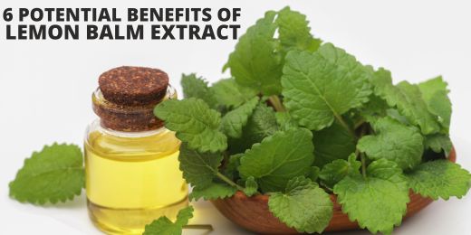 Potential Benefits From Lemon Balm Extract